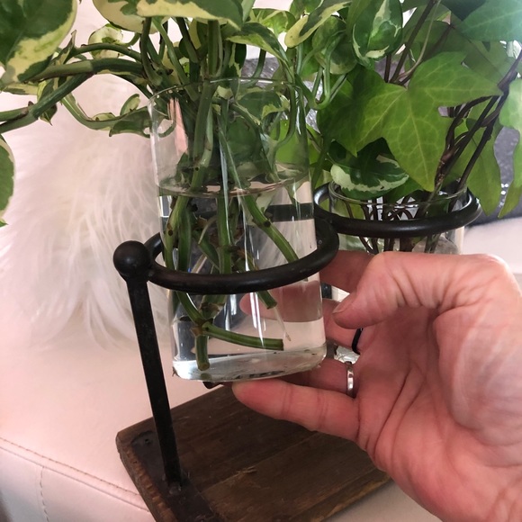 Rustic propagation station - Picture 2 of 4